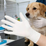 Household Cleaning Gloves - Image 2
